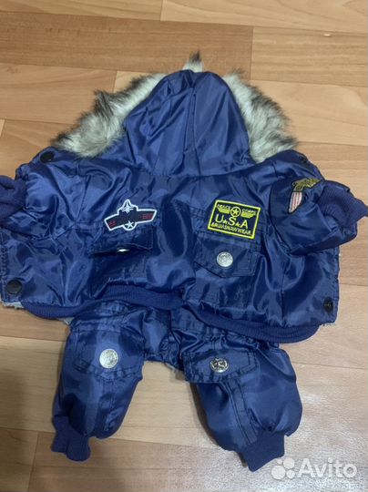 Одежда для собак