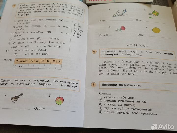 Пособие по английскому языку ВПР 3 класс