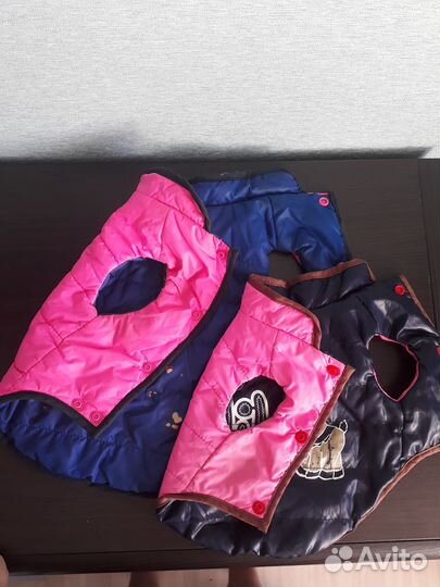 Одежда и обувь для маленьких собак