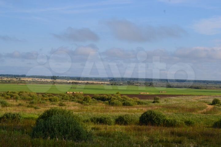 Участок 20 га (СНТ, ДНП)