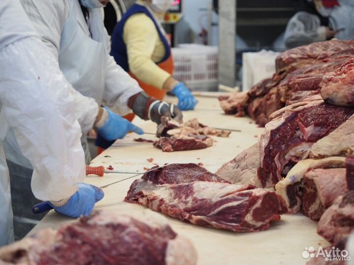 Ищу займ в готовый бизнес, доход 22562 в месяц