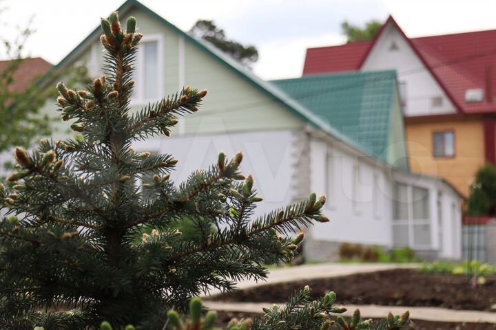 Коттедж 175,4 м² на участке 10,5 сот.