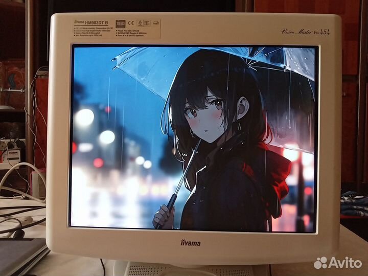 ЭЛТ монитор 19