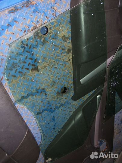 Форд фокус 1 стекло