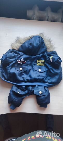 Одежда для маленьких собак