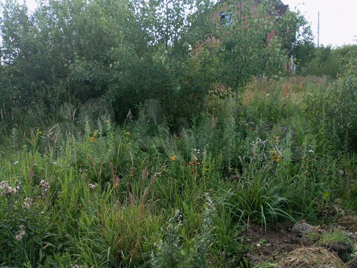 Участок 20 сот. (ИЖС)