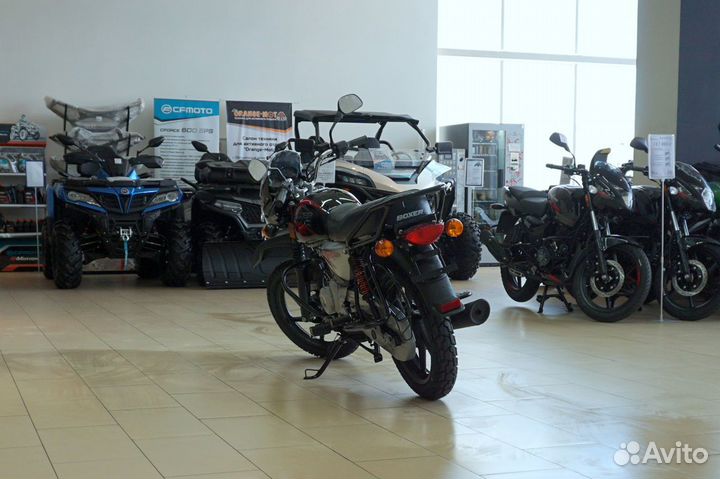 Bajaj Boxer BM 150X disc