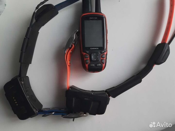 Garmin astro 320 с ошейником DC50