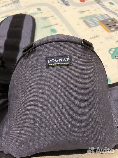 Хипсит pоngae