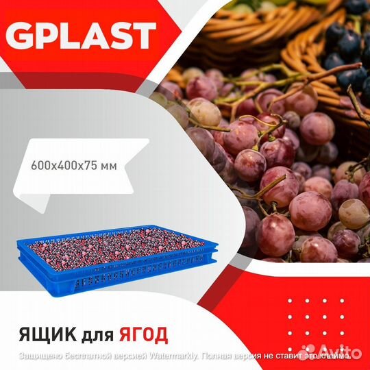 Пластиковые Ящики Gplast 600х400х75 для ягод