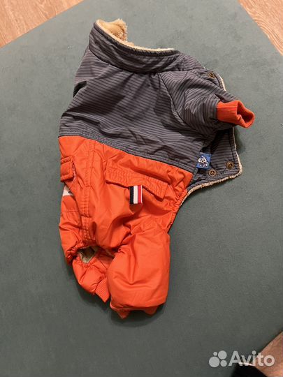 Одежда для маленьких собак