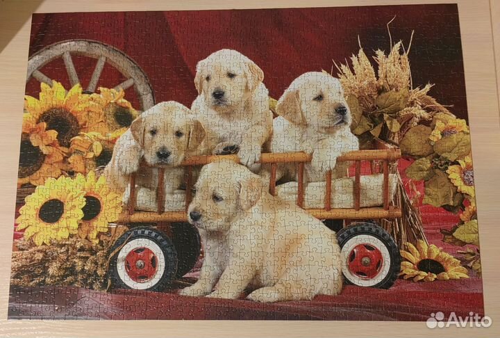 Пазлы, 9 шт 1000, 1500 деталей