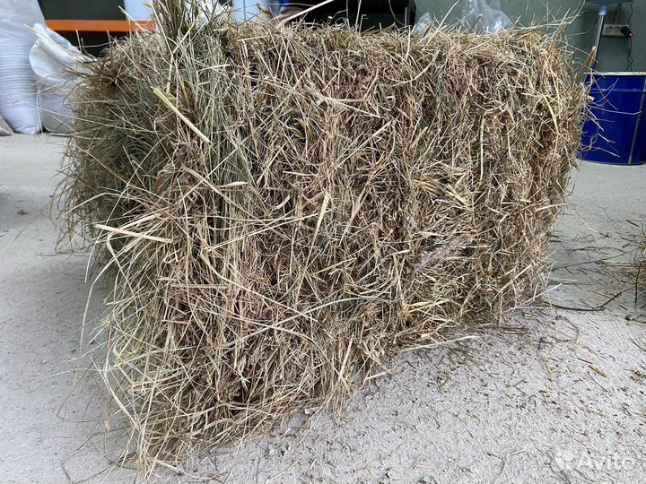 Сено в тюках опт и розница