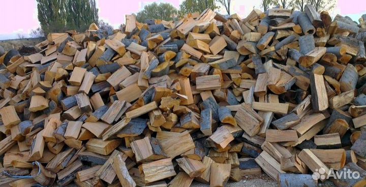 Дрова буковые от 5м3