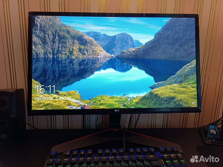 Монитор LG24MP59G