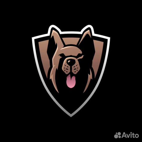 Дрессировка собак