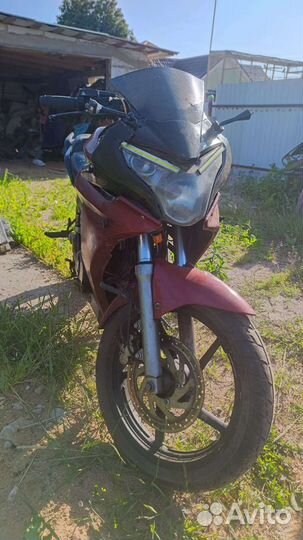 Racer RC250CS
