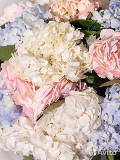 Букет Москва гортензия микс 15 шт