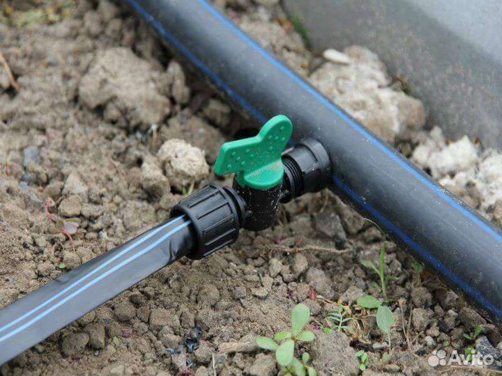 Капельный полив