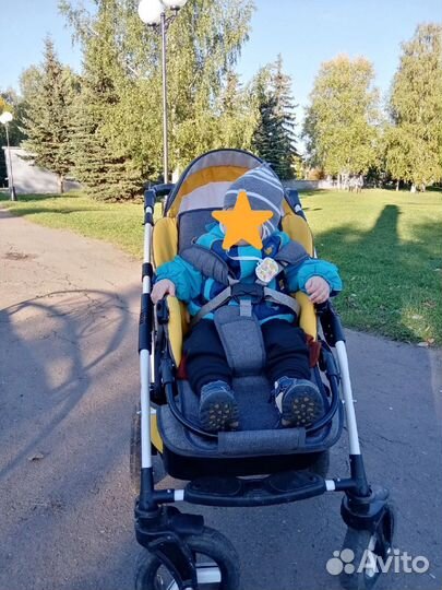 Коляска 2 в 1 Teddy fenix