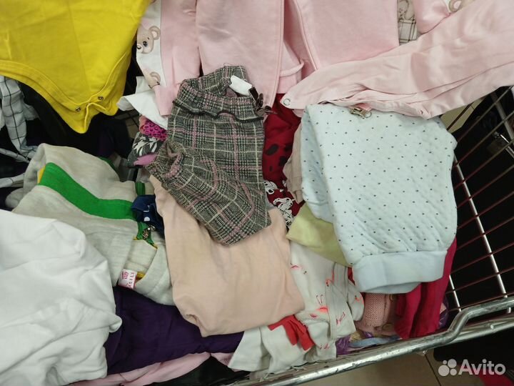 Отдам бесплатно