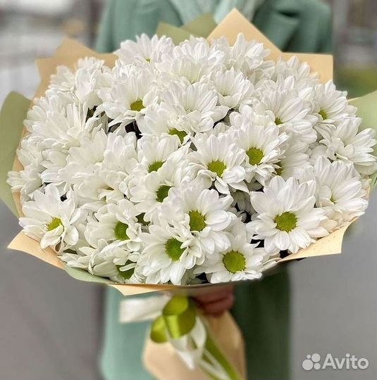 Хризантема. Букеты Цветы доставка