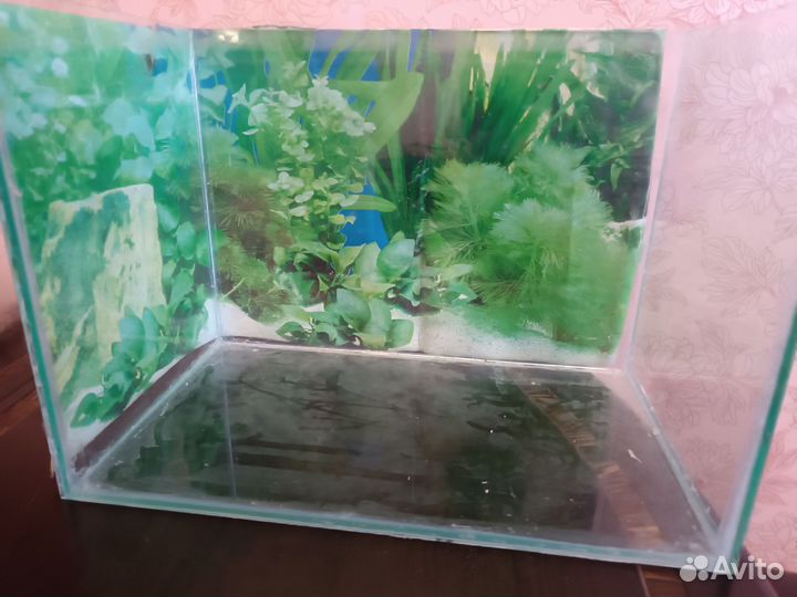 Аквариум
