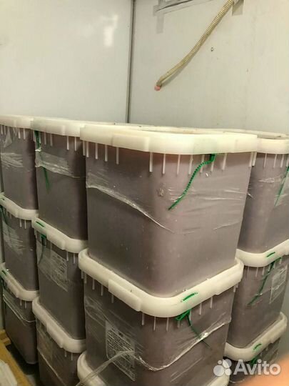 Икра Кеты опт