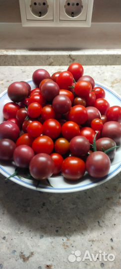 Малина,помидоры,черри,чеснок,картофель,зелень,тыкв