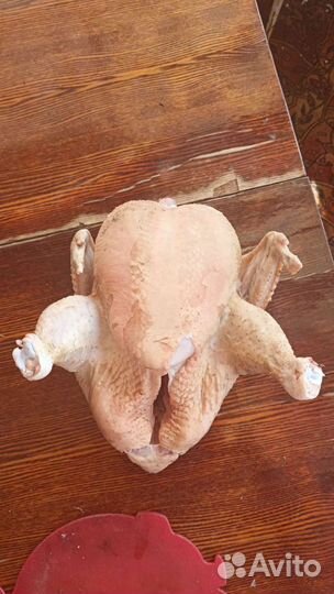 Мясо домашней птицы