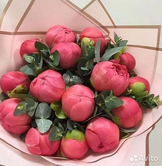 Пионы Букет пионов