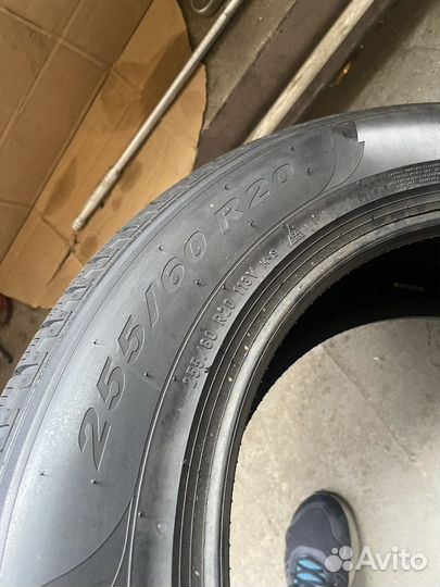 Pirelli Scorpion Winter 255/60 R20 113V