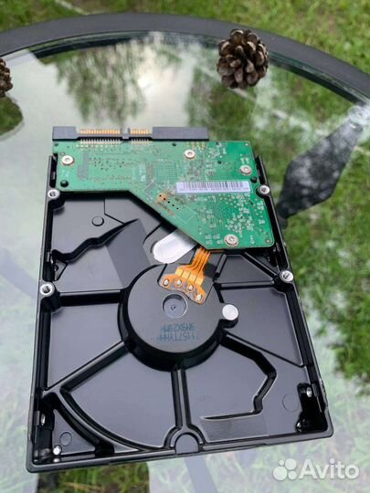 Жесткий диск Western digital WD3200aajs 320GB