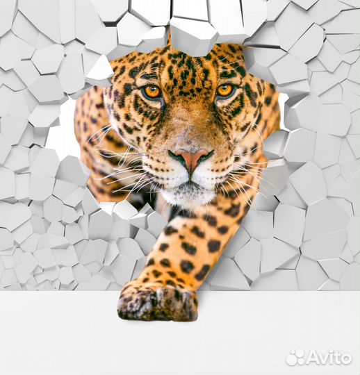 Фотообои 3d