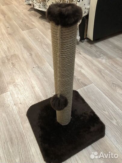 Когтеточка