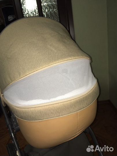 Коляска Adamex massimo 2 в 1