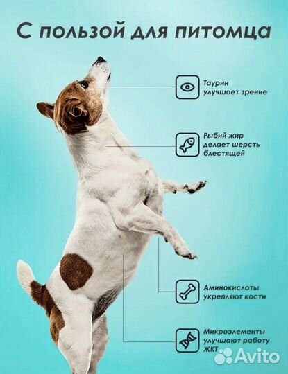 Лакомства для кошек и собак