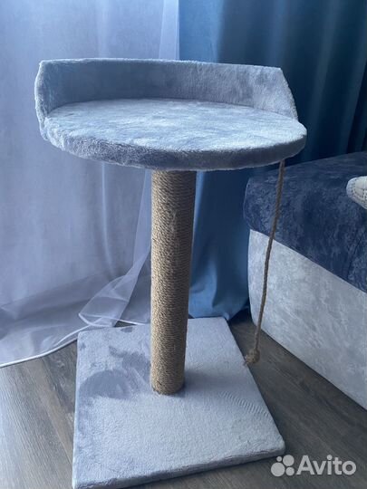 Когтеточка