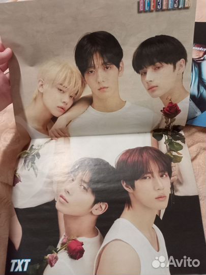 Плакаты тхт