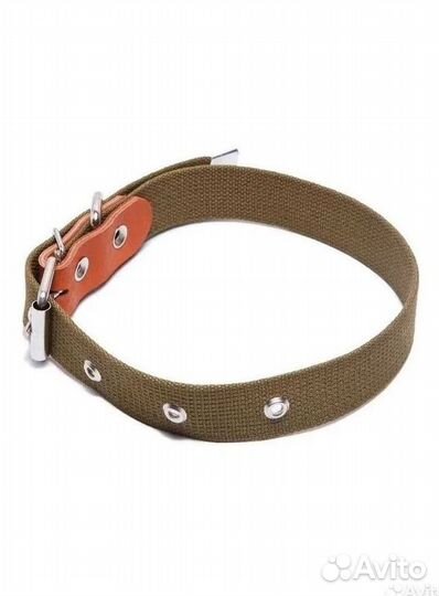 Ошейники и поводки для животных оптом и в розницу