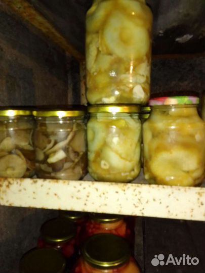 Грибы соленые