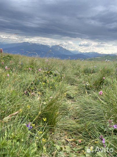 Восхождение на г. Оштен