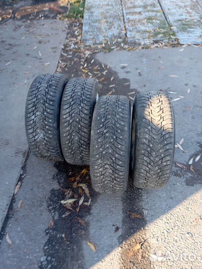 Accelera 651 Sport 205/60 R16