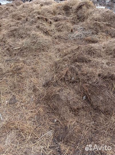 Навоз бесплатно