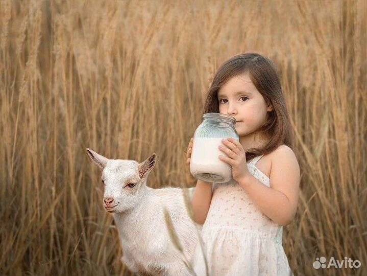 Козье молоко