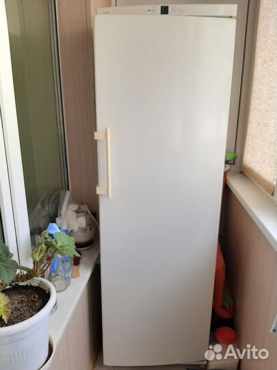 Морозильная камера liebherr бу