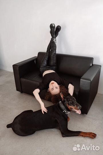 Фотосессия с доберманом