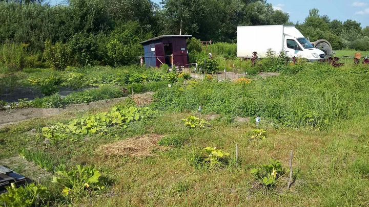 Участок 6 сот. (СНТ, ДНП)