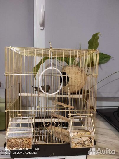 Клетка для птиц