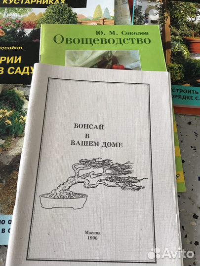 Благоустройство сада, альпинарий, горки